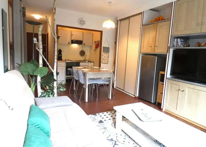 Studio Saint-Lary-Soulan, 1 pièce, 4 personnes - FR-1-457-305